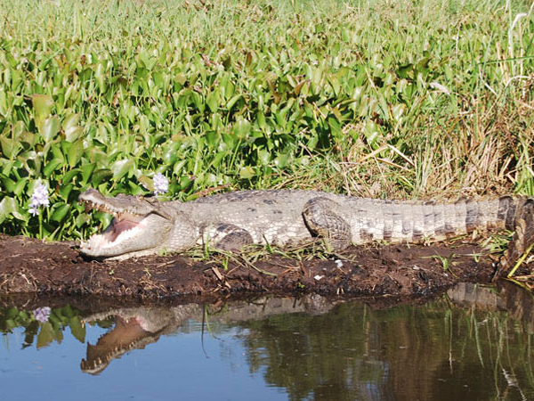 TOUR LUJOSO DE AVENTURA EN VIETNAM DE 11 DÍAS